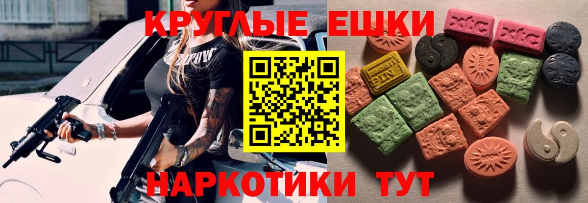 Экстази Philipp Plein  Вход с VPN  Коммунар  ЭКСТАЗИ TESLA 