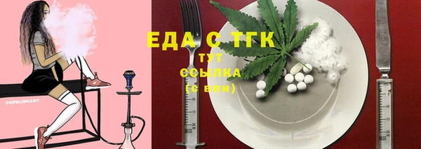 индика Кинешма