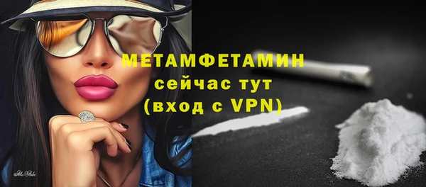 индика Кинешма
