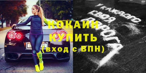 дживик Касимов