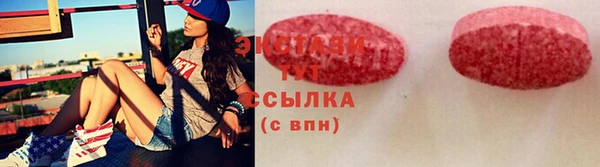 индика Кинешма