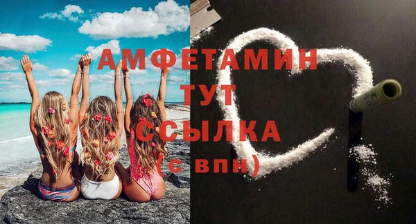 индика Кинешма