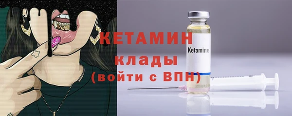 индика Кинешма