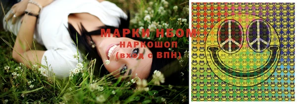 индика Кинешма