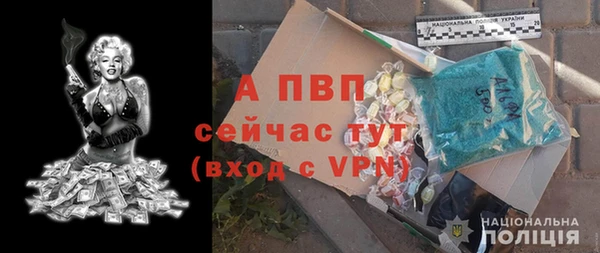 индика Кинешма