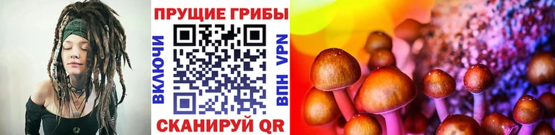 Галлюциногенные грибы GOLDEN TEACHER  Коммунар 